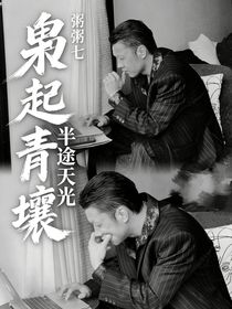 枭起青壤：半途天光