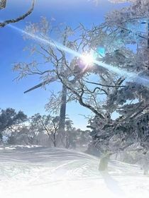 冬日里的温暖消失不见