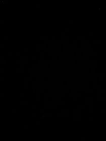 人物介绍（私设）