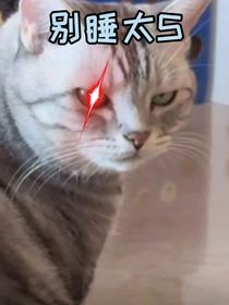 MC——恶意的伪善者，付出代价