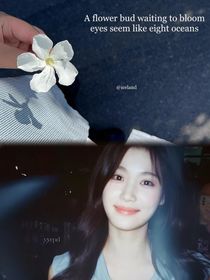 tf四代：穿越成为顶级偶像