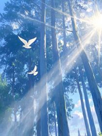 假如我没遇见你