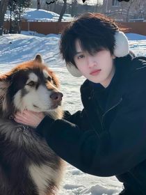 TNT：叼好你的小狗牌