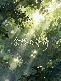 查理九世—余烬与等待