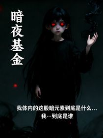 暗夜基金