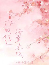 TF四代之海棠未眠