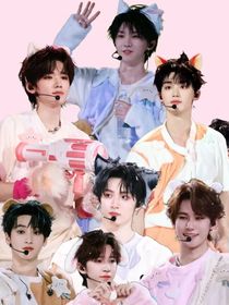 TNT：被贵族学院的毛茸茸包围了