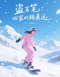 盗笔：回家的路真远