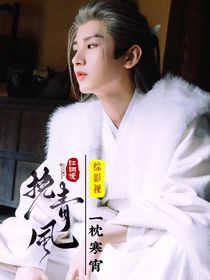 综影视：挽青风