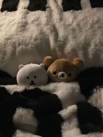 和梦角哥的每日