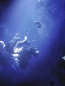 神印：星月永伴