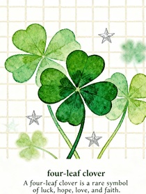 家有一只小猫咪