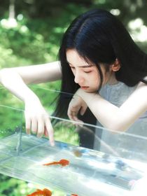 TF三代：岁岁常相见