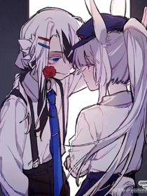 鹰酱与小兔子CP文