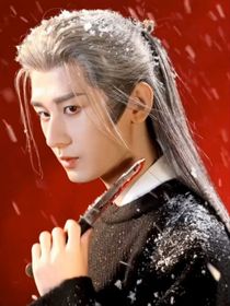 综影视：挽青风