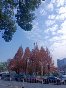 都市：星芒破晓