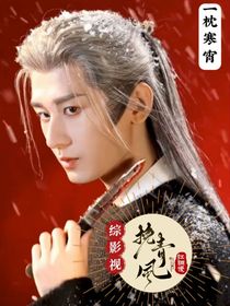 综影视：挽青风