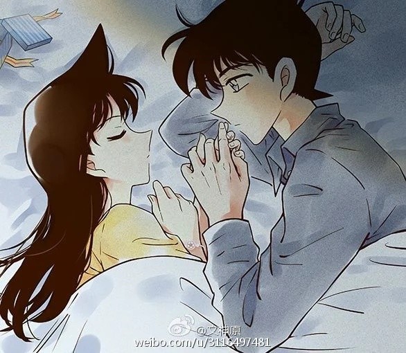 新兰之重新开始