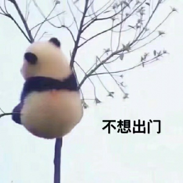 这年头你想出门都出不去了