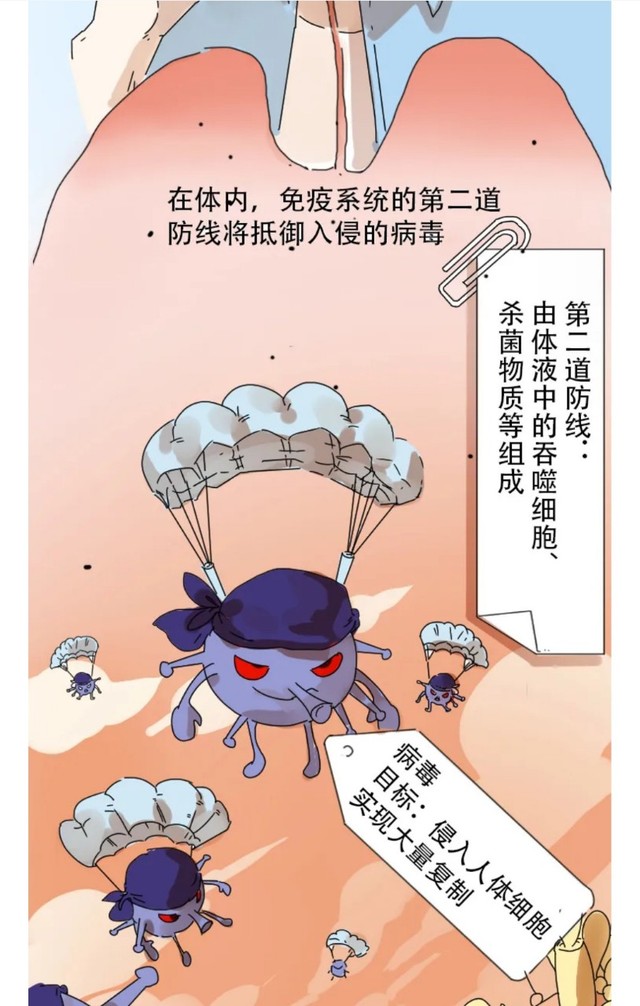 免疫细胞和病毒斗争全过程手绘