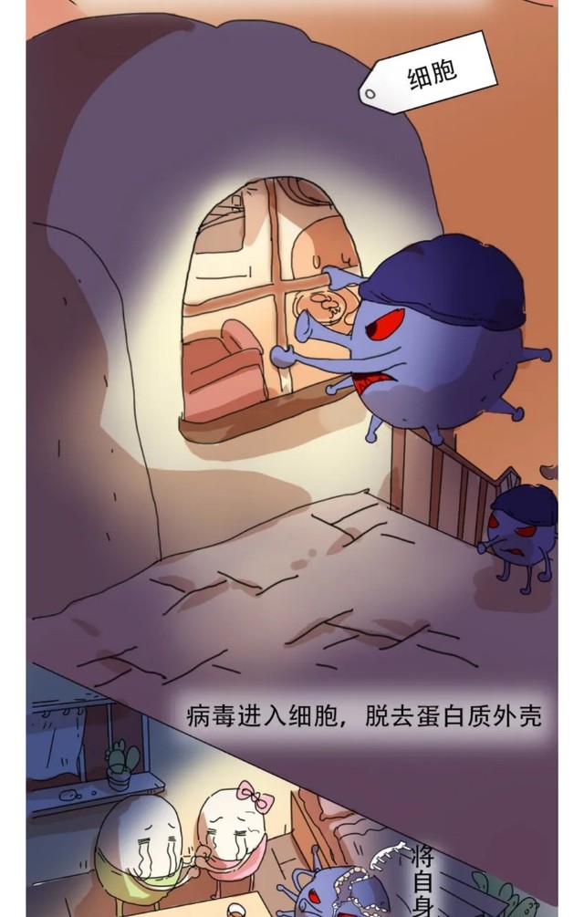 免疫细胞和病毒斗争全过程手绘