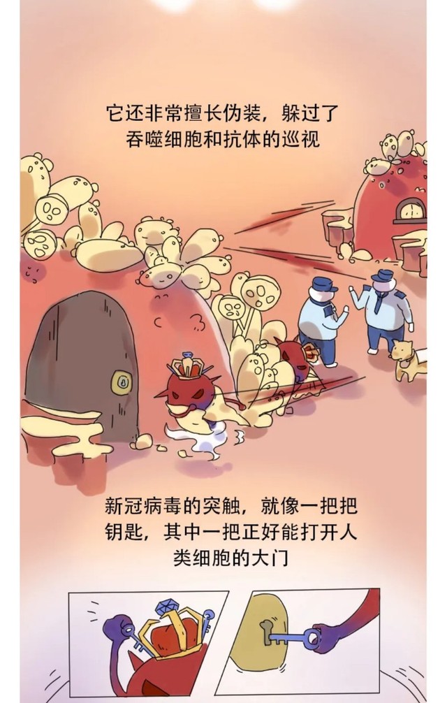 免疫细胞和病毒斗争全过程手绘