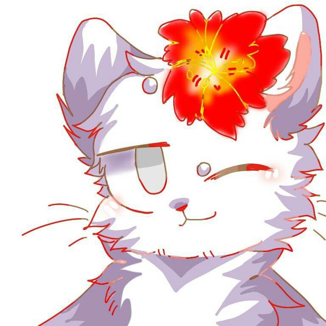 番外篇【我们智障的少年时代】-him和stevew-话本小说网