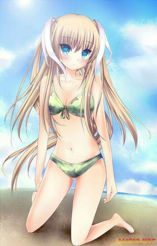 斗龙战士之爱的真心冒险