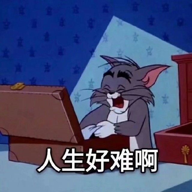 猫和老鼠(自创)