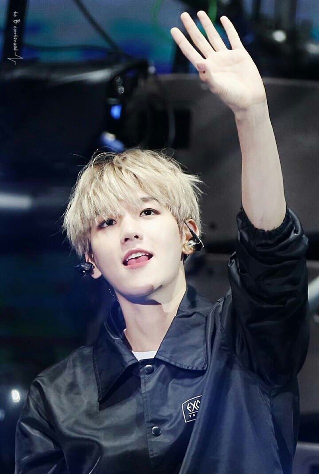 边伯贤:solo女神不经撩