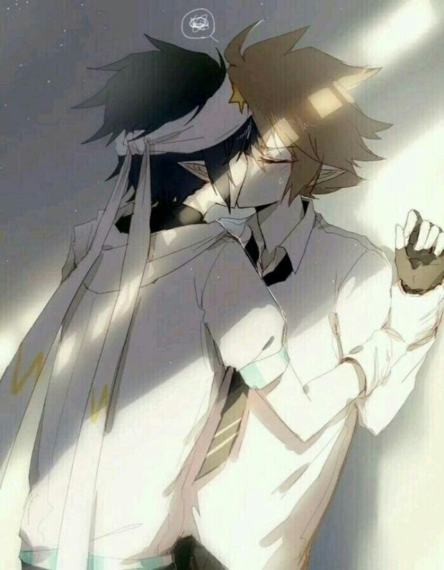 凹凸世界之神近耀的姐姐