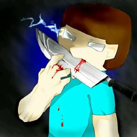 我的世界him的一生