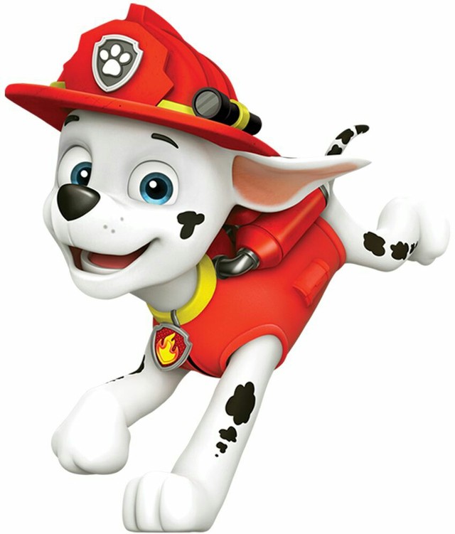 毛毛图片-汪汪队的图片-话本小说网