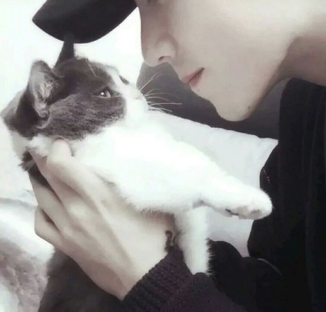 肖战部位头像-焦糖杂货铺-话本小说网