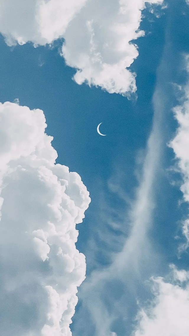 好听不易撞的网名(答应投稿) 壁纸,最多的一篇-宋吟礼最新章节-免费