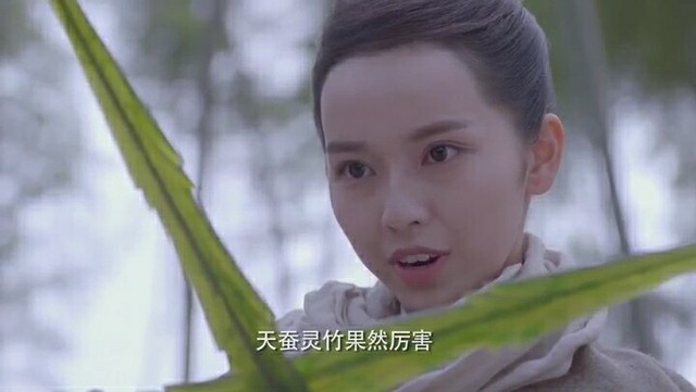 齐灵云天蚕灵竹果然厉害!