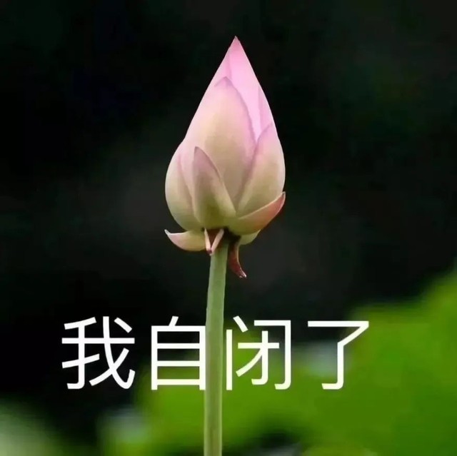 叶子飘飘微信名_微信昵称叶子符号大全_带叶子的幸福好运微信名字