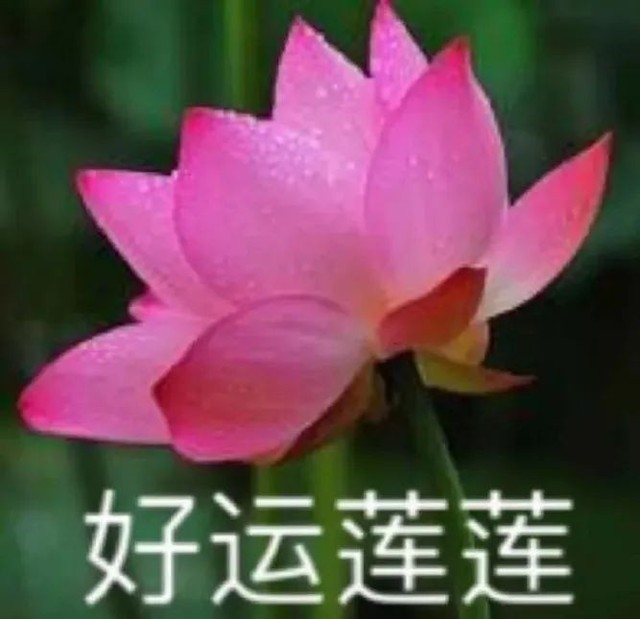 微信列表里的七大姑八大姨是不是有叫……幸福人生/花开富贵/好运连连