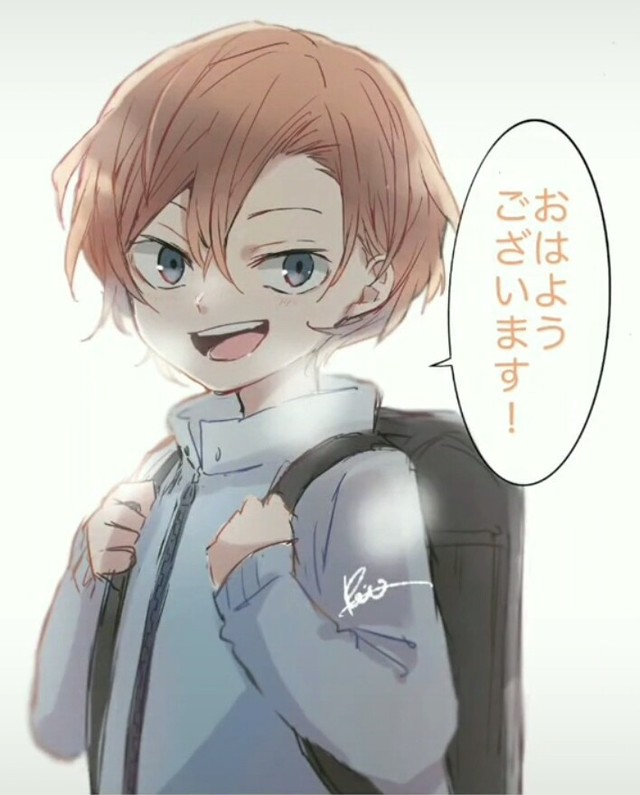 文豪野犬白洛的文