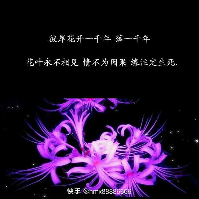 东华帝君,得知,白凤九是彼岸花神女和彼岸花的花语-三生三世情缘东华