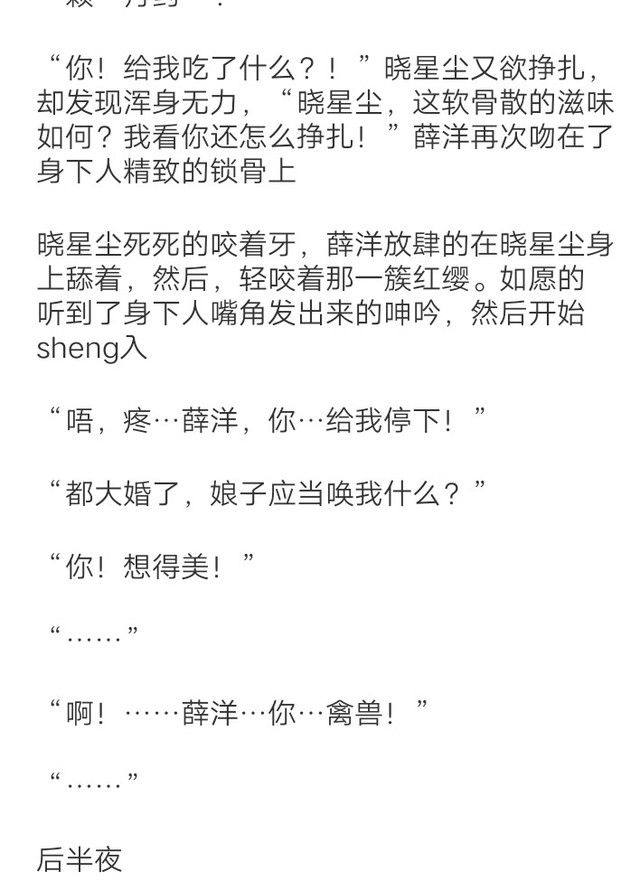 薛晓大婚【下】-洋尘:浮生石-话本小说网