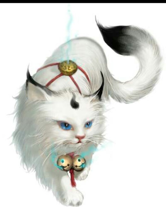 朕的猫妖不是妖