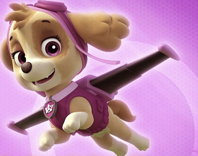 汪汪队立大功奇天恋