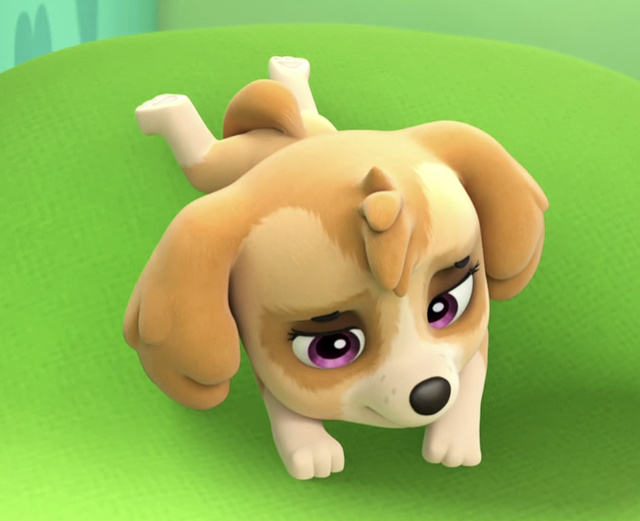 汪汪队立大功奇天恋