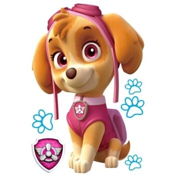 汪汪队立大功奇天恋