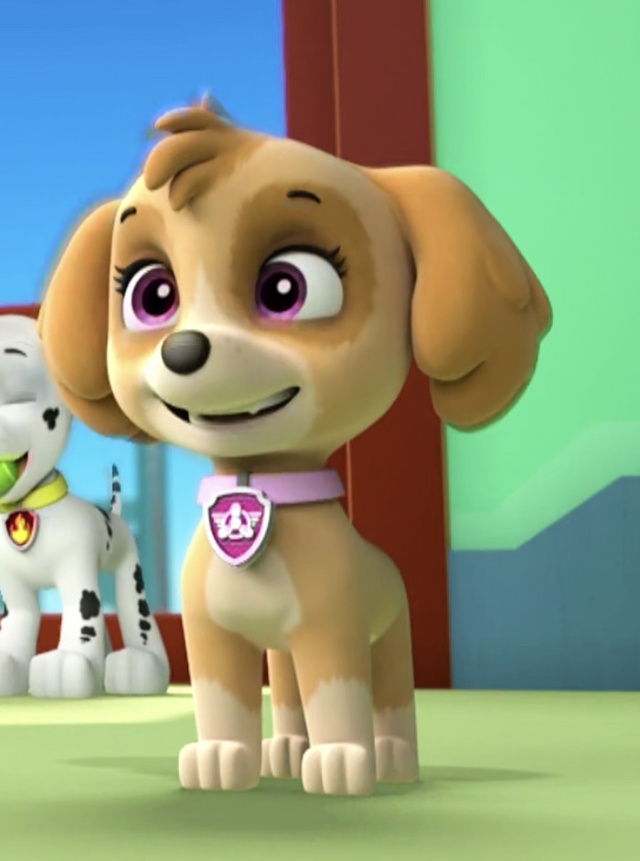 汪汪队立大功奇天恋