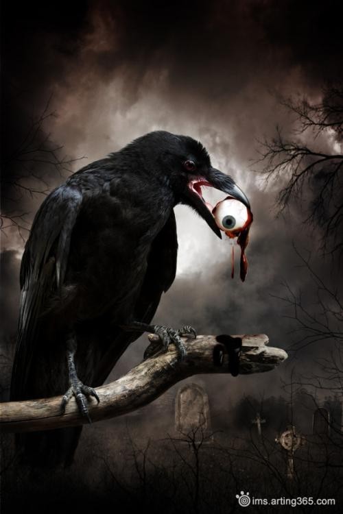 齐天像洞外望去 齐天哪有乌鸦?那不是蝙蝠吗?