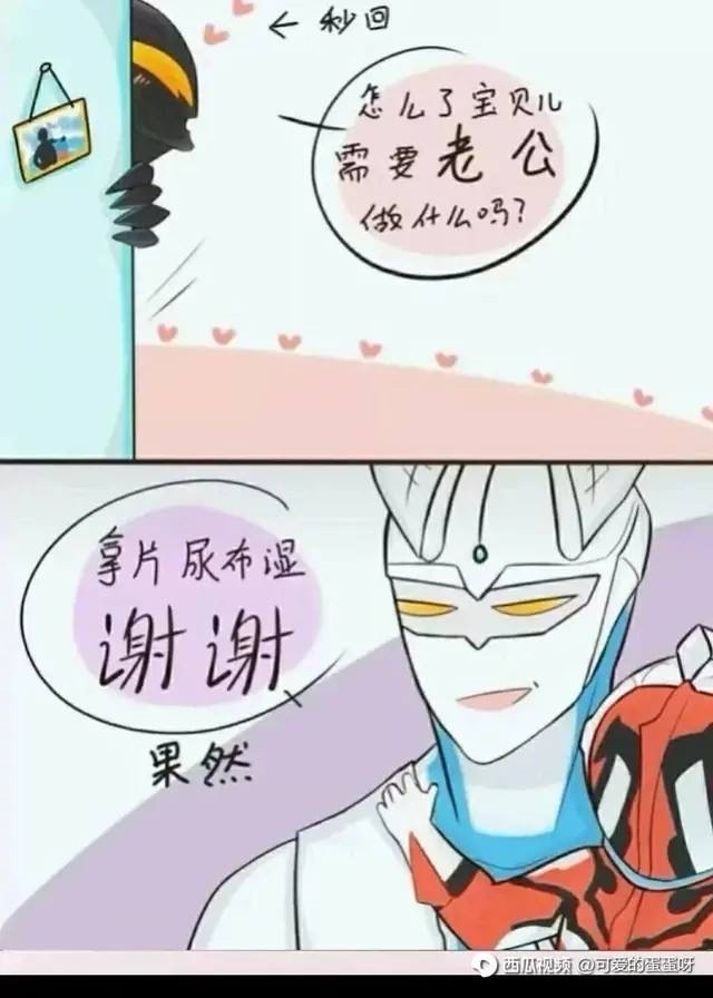 泰罗托雷