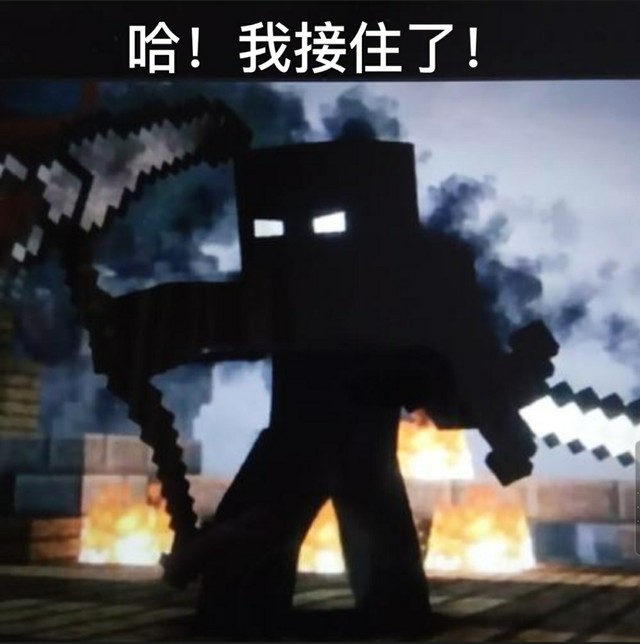 末影女王ceris…… 作者好了,不说了,继续 entity-303……我的小镰刀