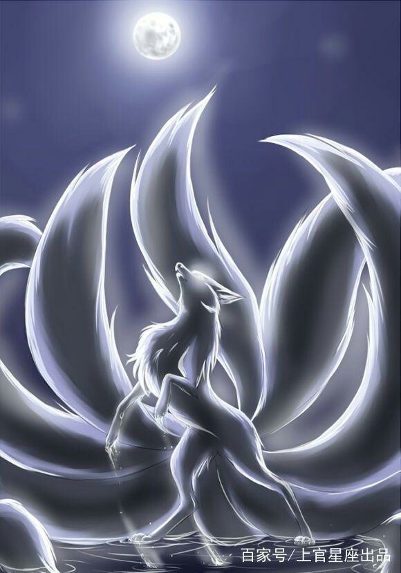 十二星座专属灵兽-十二星座知识大全-话本小说网